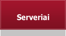 TF22 serveriai